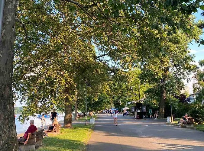 Apartman Jasna Zemun